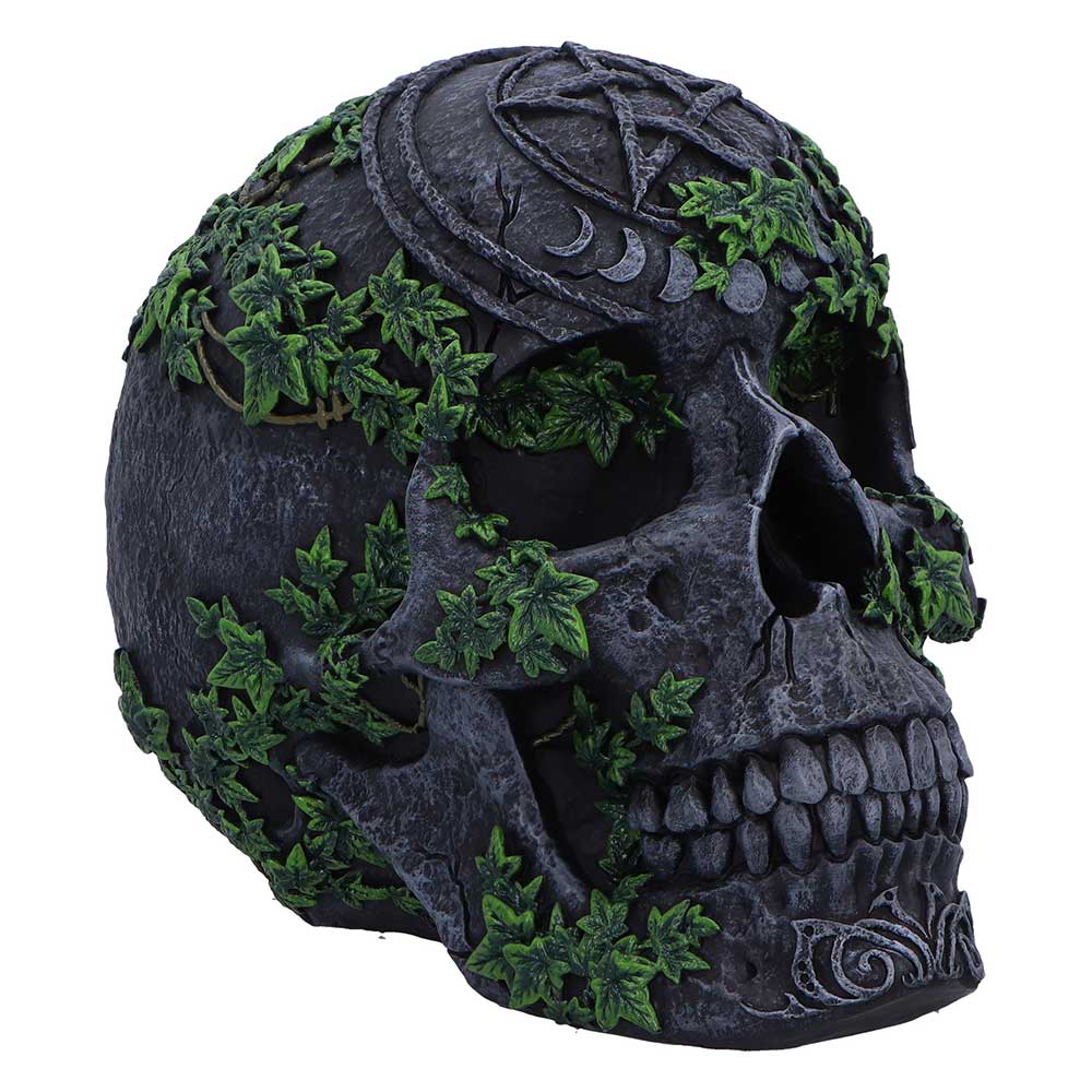 Aged Pentagram Skull Gothic Ornament 18.8cm featuring a deep black weathered skull with a pentagram on the forehead and realistic vegetation details.