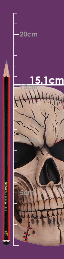 Nemesis Now Hall of Horrors Monster of Madness skull full size detail