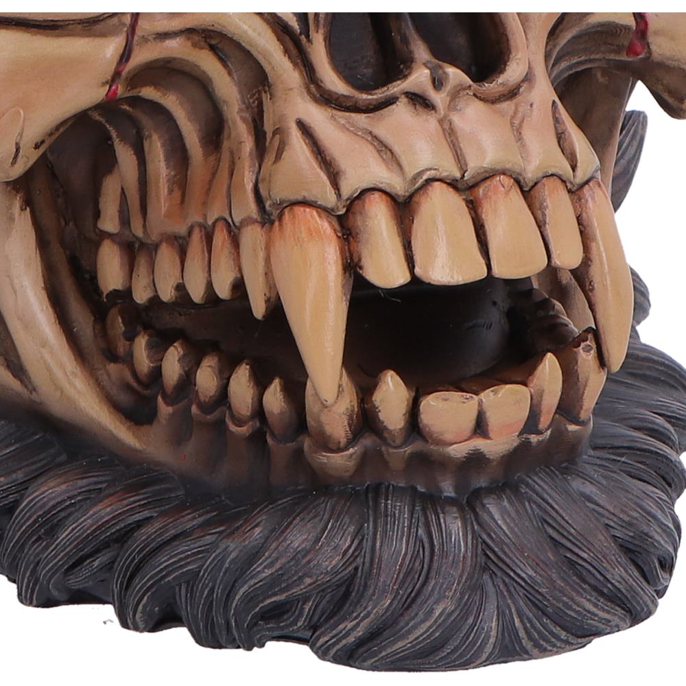 Close-up of a detailed skull with sharp teeth and beard