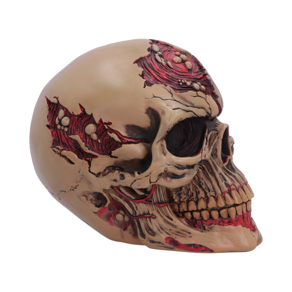 Side view of hand-painted zombie Walker of Death skull figurine