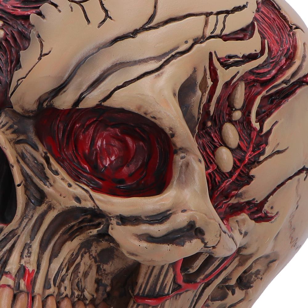 Hall of Horrors zombie skull collectible gothic horror skull figurine