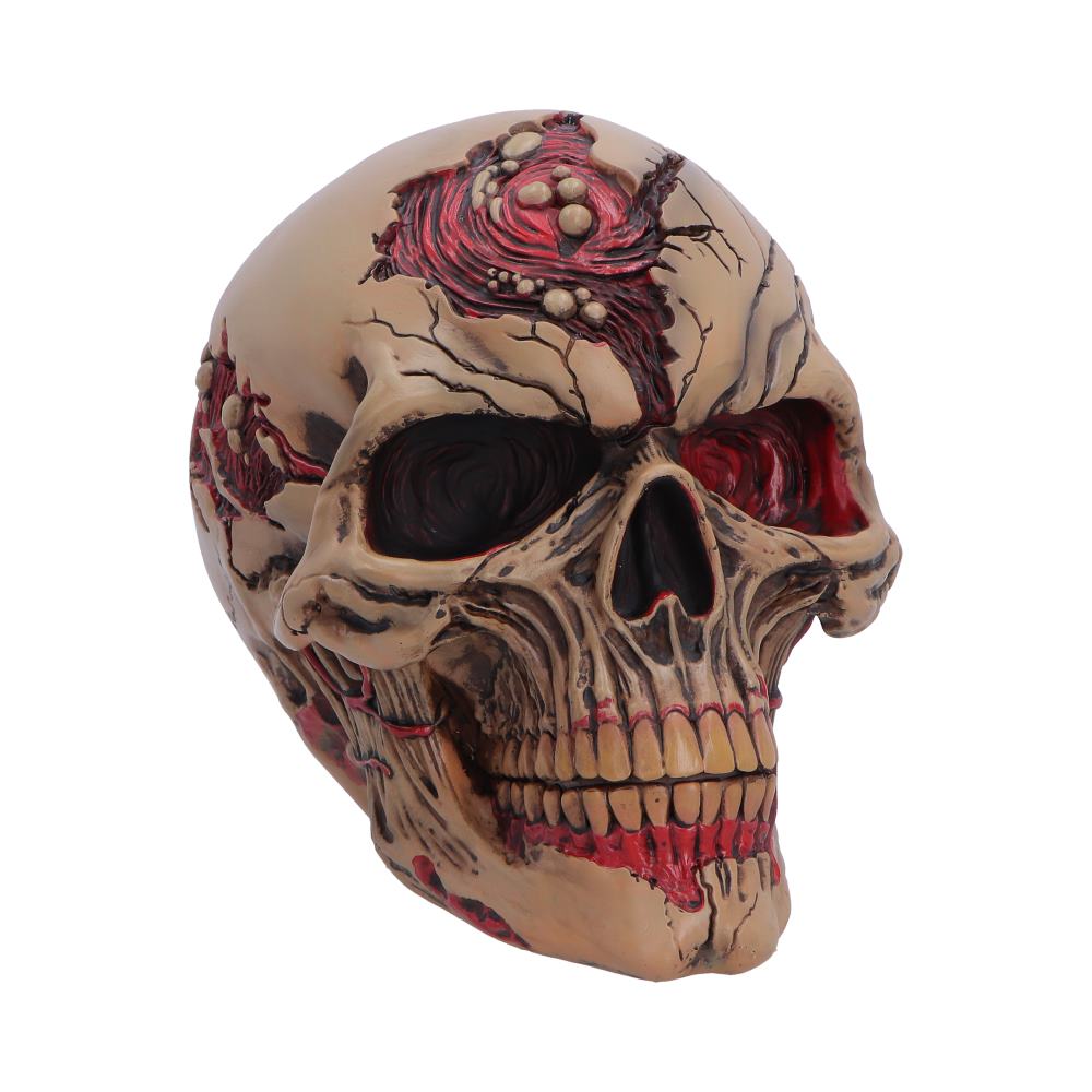 Hall of Horrors: The Walker of Death Skull Figurine 15.5cm featuring a realistic zombie-inspired skull with decaying flesh, exposed bone, and premium hand-painted polyresin detailing.