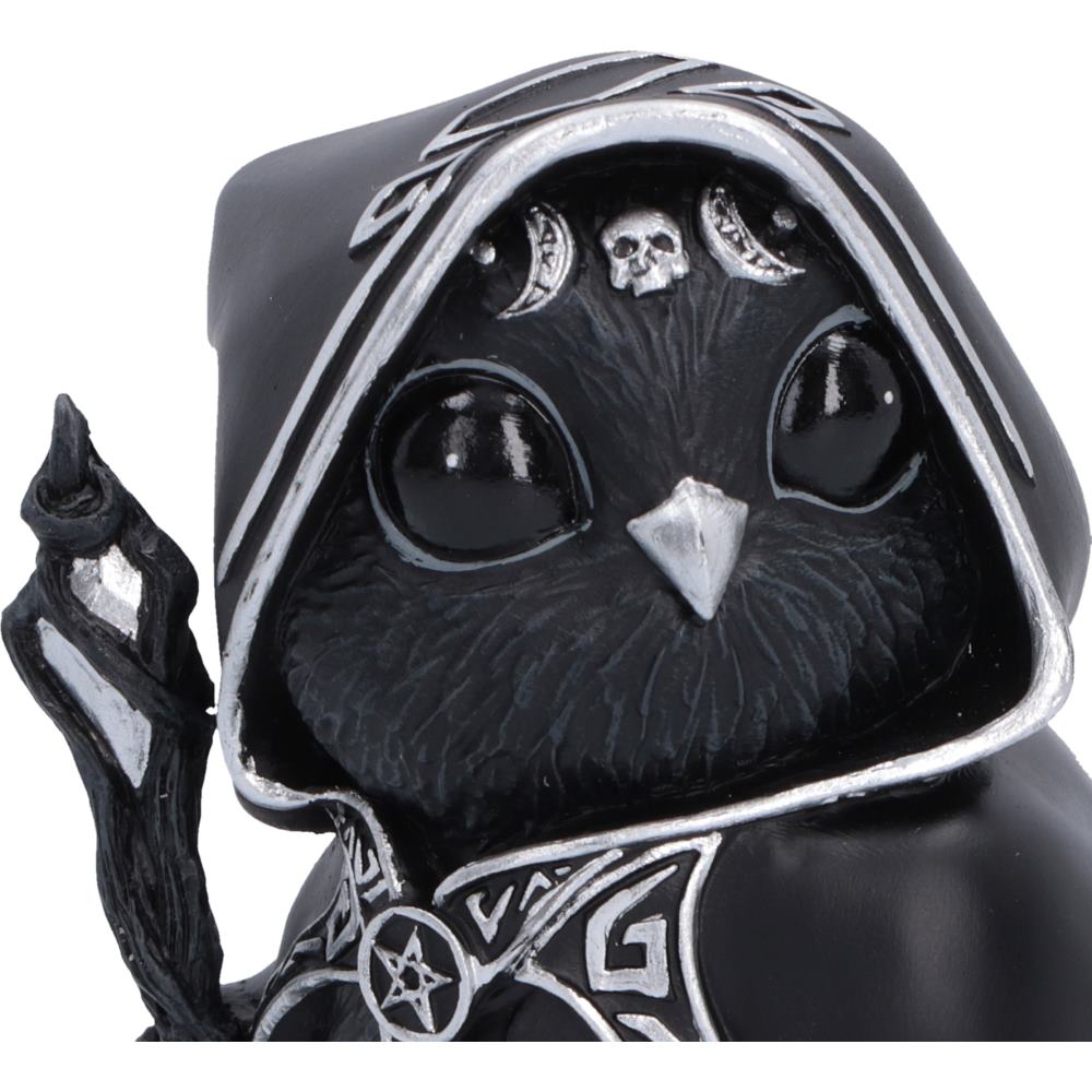Featheros face with crescent moon and decorative skull details with silver pentagram and skull designs'