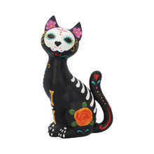 Load image into Gallery viewer, Sugar Kitty 26cm
