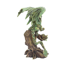 Load image into Gallery viewer, Adult Forest Dragon (AS) 25.5cm

