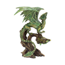 Load image into Gallery viewer, Adult Forest Dragon (AS) 25.5cm
