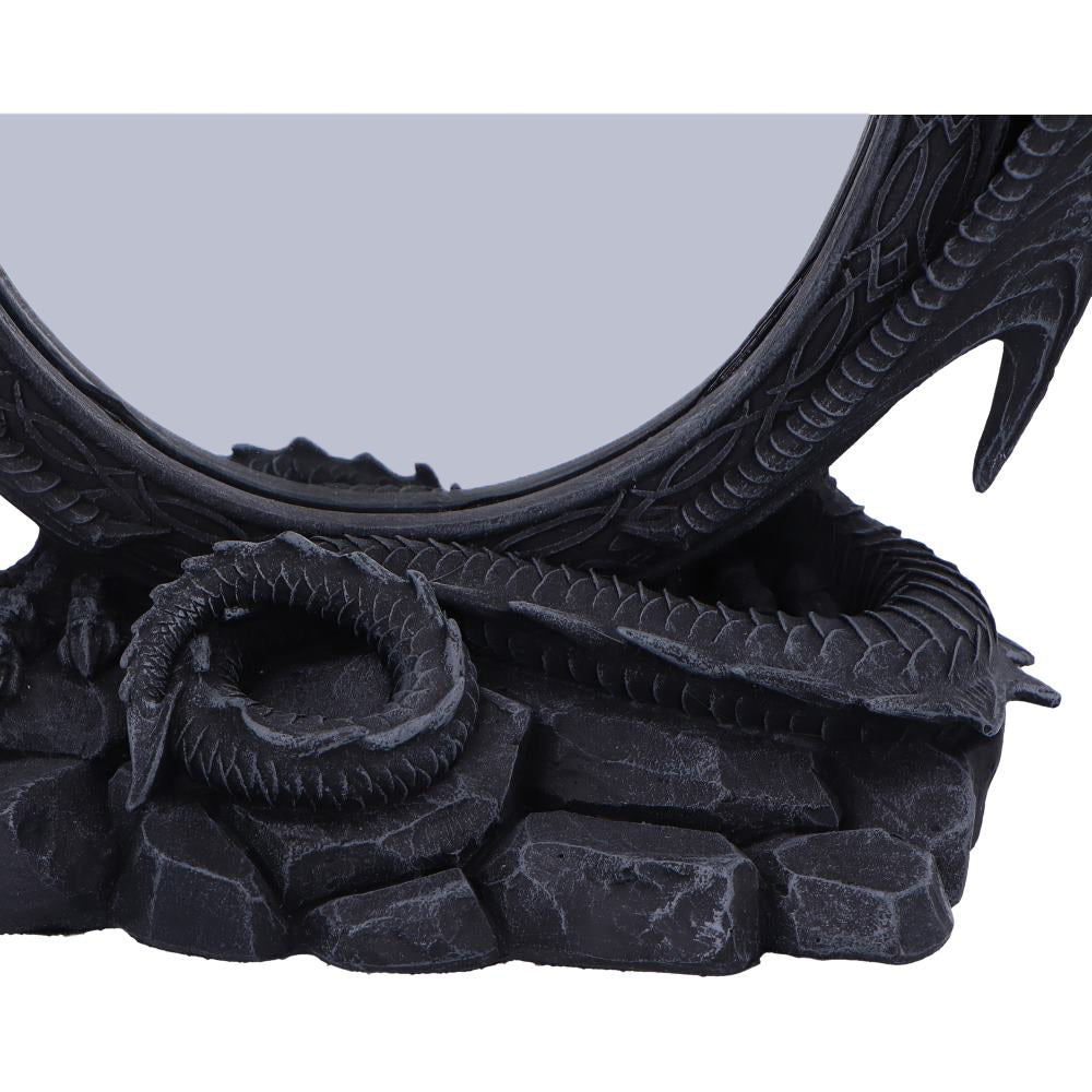 Fantasy Dragon wrapped around mirror