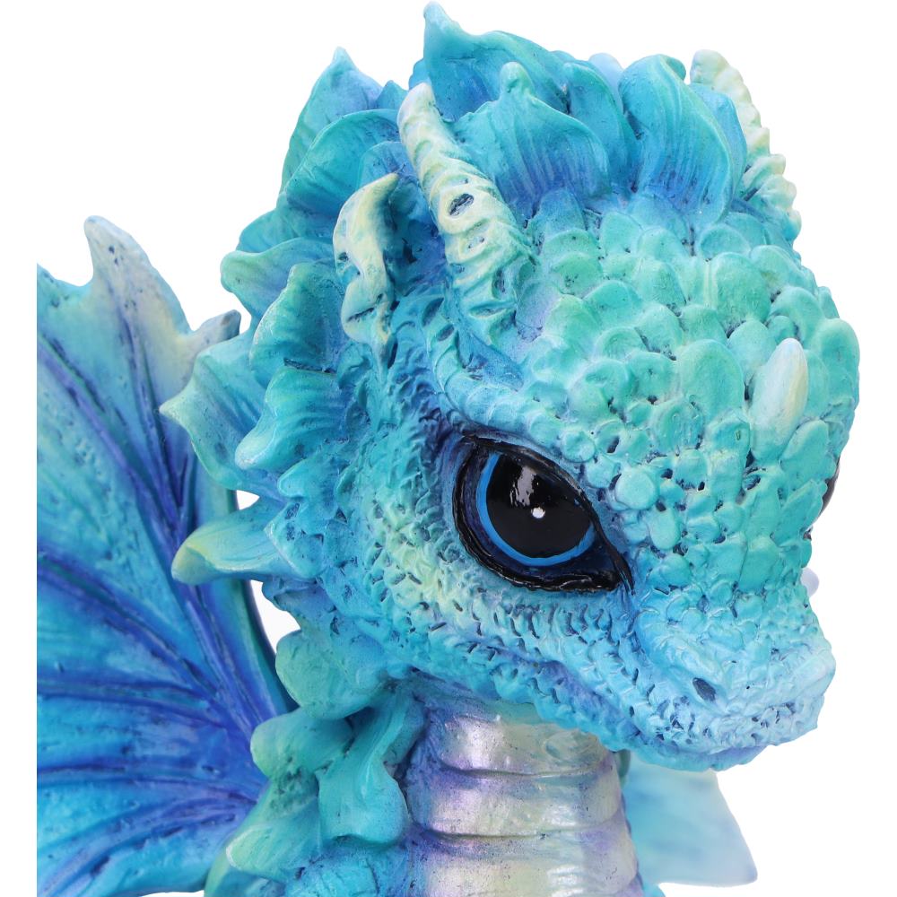Blue Poppy Flower Dragon 11cm