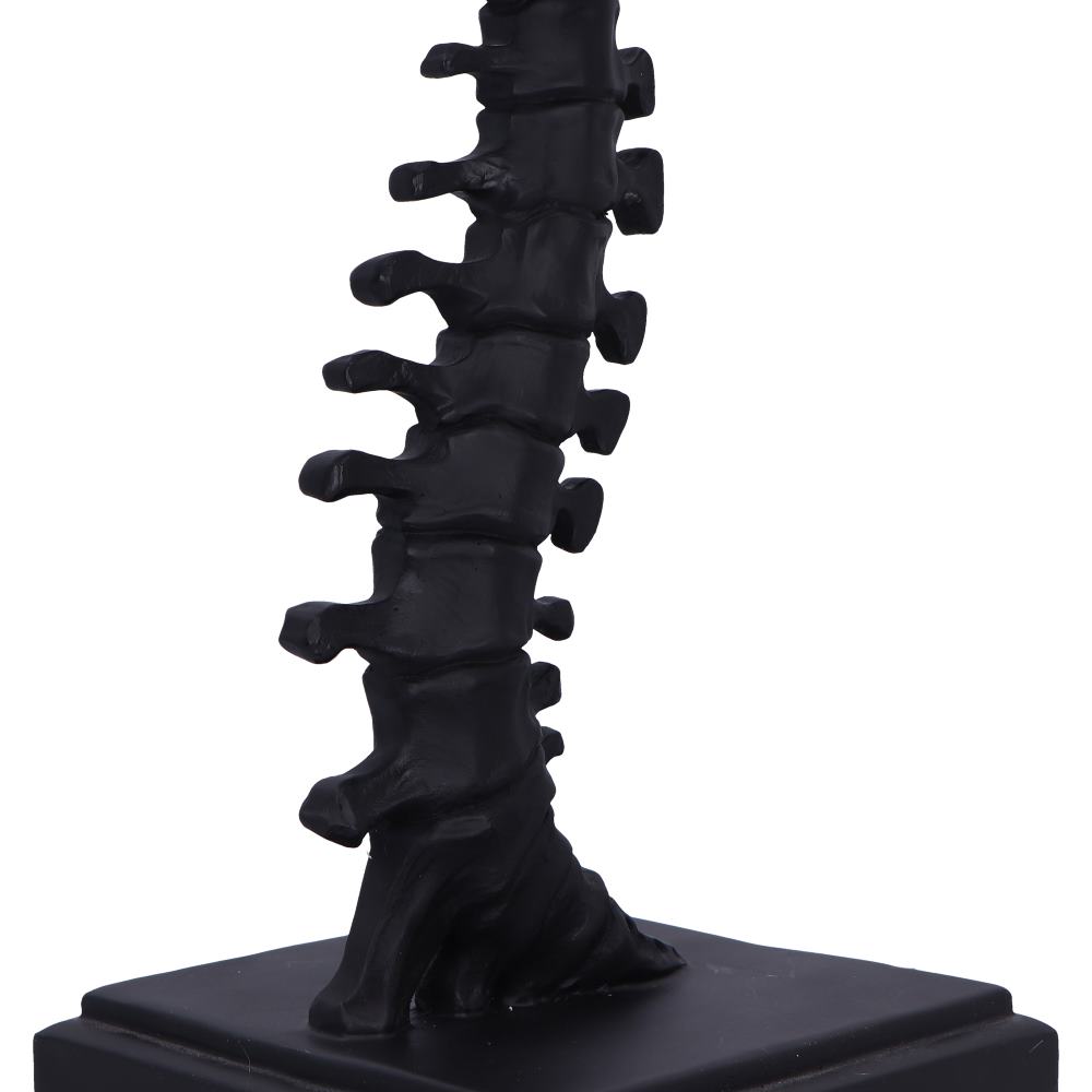 Vertebrae Lamp