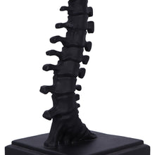 Load image into Gallery viewer, Vertebrae Lamp
