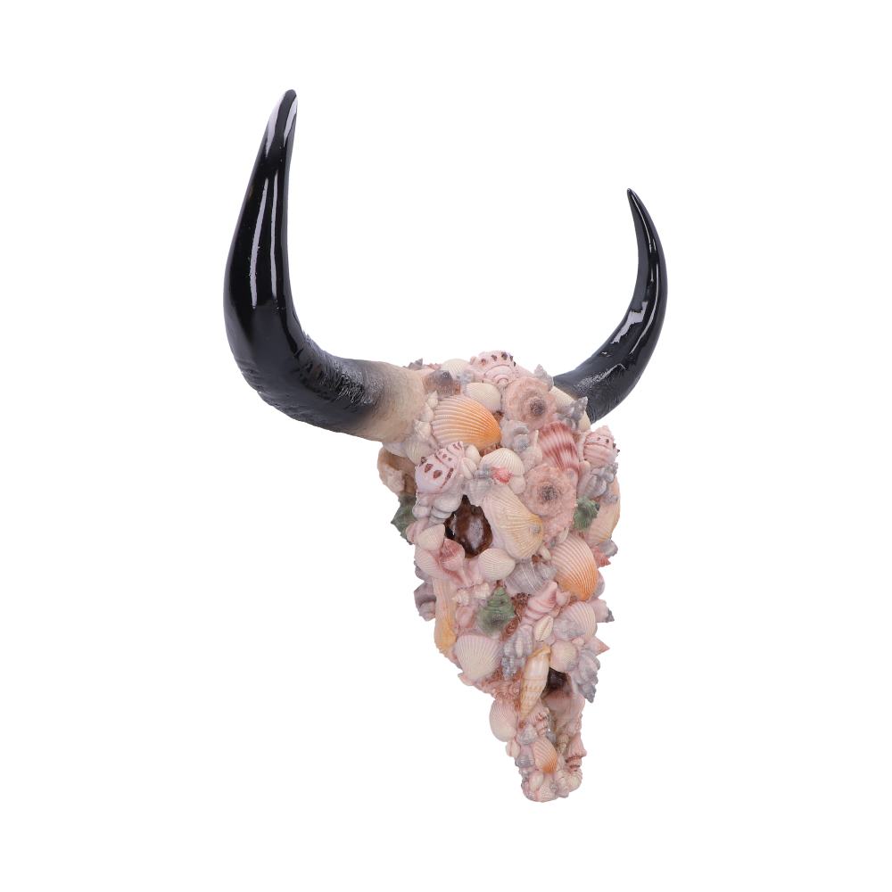 Bull skull sculpture with seashell embellishments