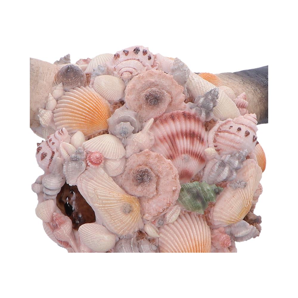 Close-up of seashell detailing on skull ornament