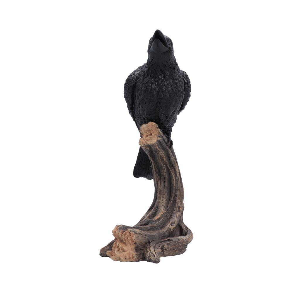 Raven’s Caw black raven perched on a textured wooden branch