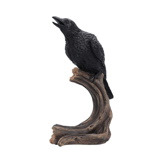 Raven’s Caw 26.8cm gothic black raven figurine on tree branch