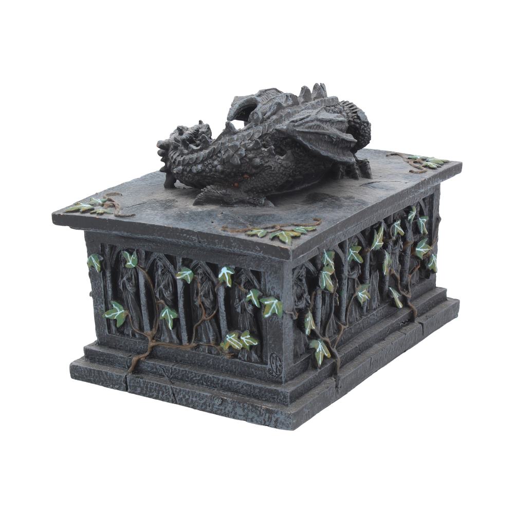 Sleeping black dragon resin tarot card box