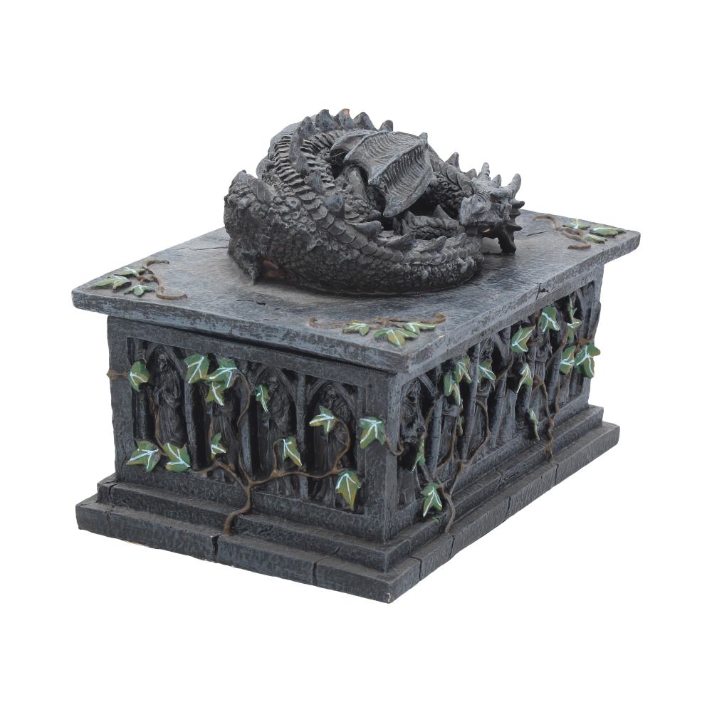 Gothic dragon tarot storage box