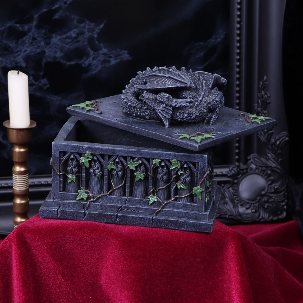 Fantasy dragon storage box