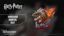Load and play video in Gallery viewer, Harry Potter Hungarian Horntail Bust
