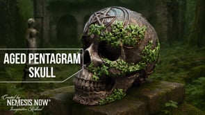 360° view of the Aged Pentagram Skull Gothic Ornament 18.8cm showcasing the pentagram, aged black finish and realistic overgrown vegetation details.