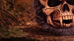 360° view of the Hall of Horrors: The Beast of the Moon Skull 16cm showcasing the werewolf-inspired skull, dark fur detailing, sharp teeth, intricate sculpting, and premium hand-painted polyresin finish.