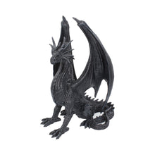 Load image into Gallery viewer, Black Wing 37cm
