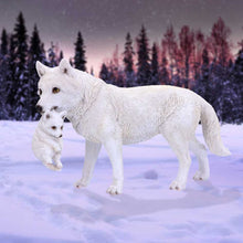 Load image into Gallery viewer, Winter Bond 30cm
