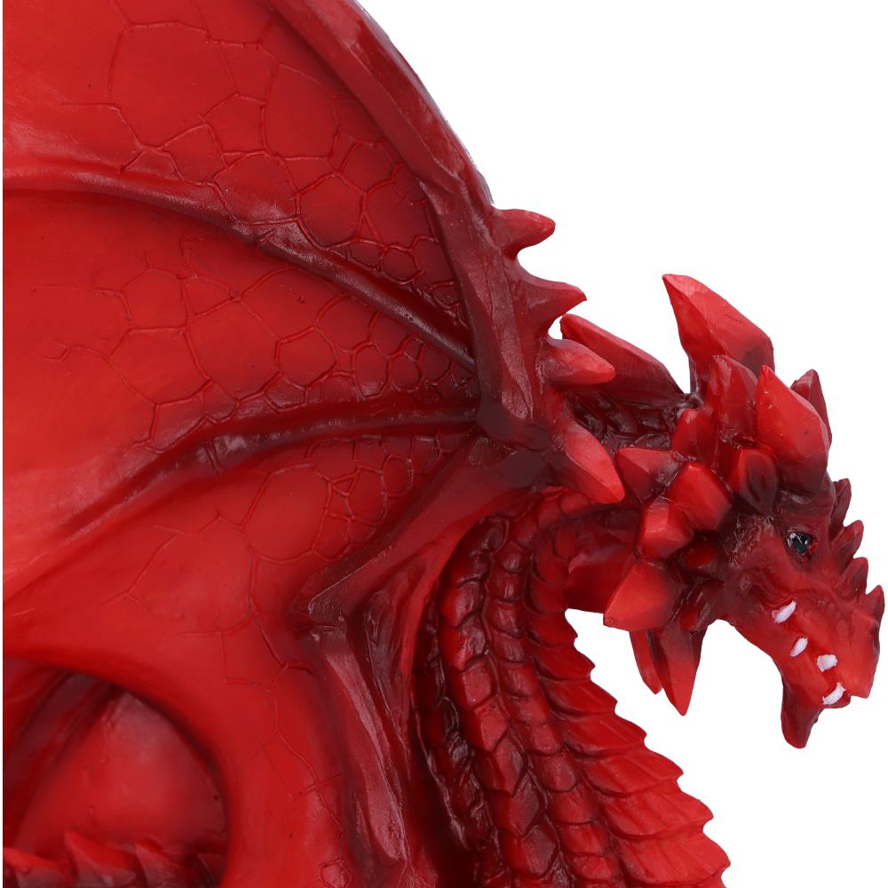 Fantasy dragon collectible