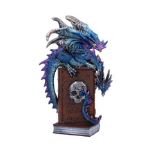 Load image into Gallery viewer, A Tale of Dragons 22cm
