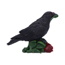 Load image into Gallery viewer, Rose of the Raven 14cm
