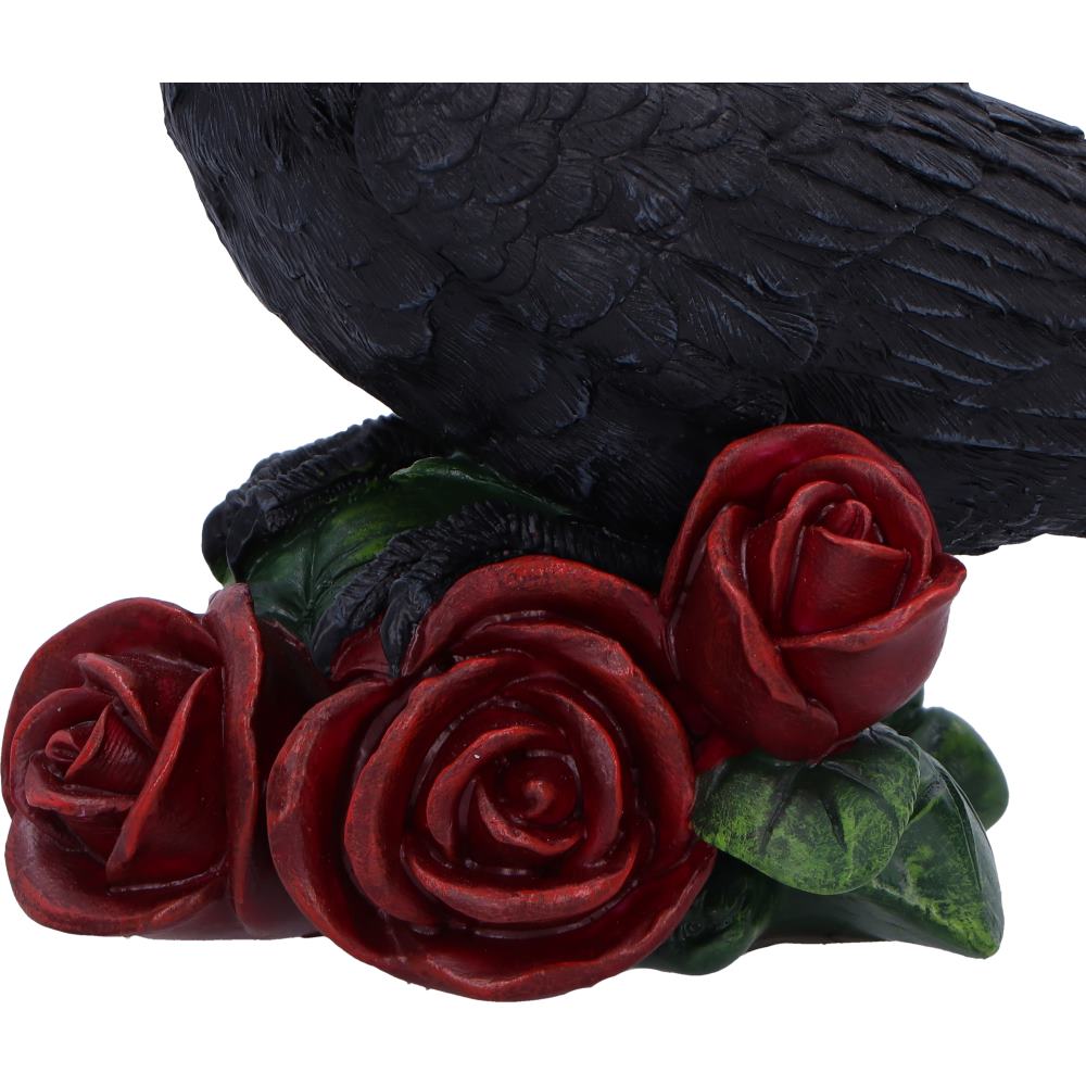 Rose of the Raven 14cm