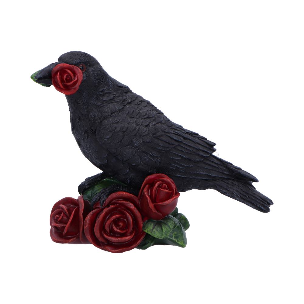 Rose of the Raven 14cm