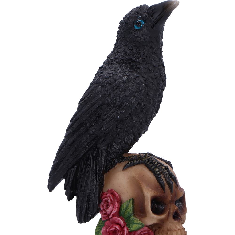 Perched Prophecy