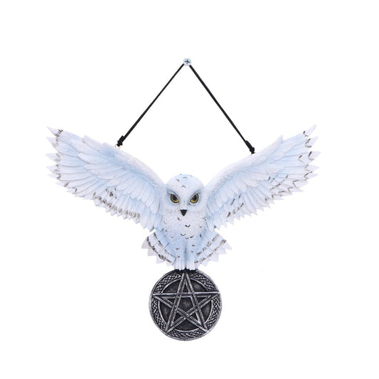 Owl Talisman 20.5cm