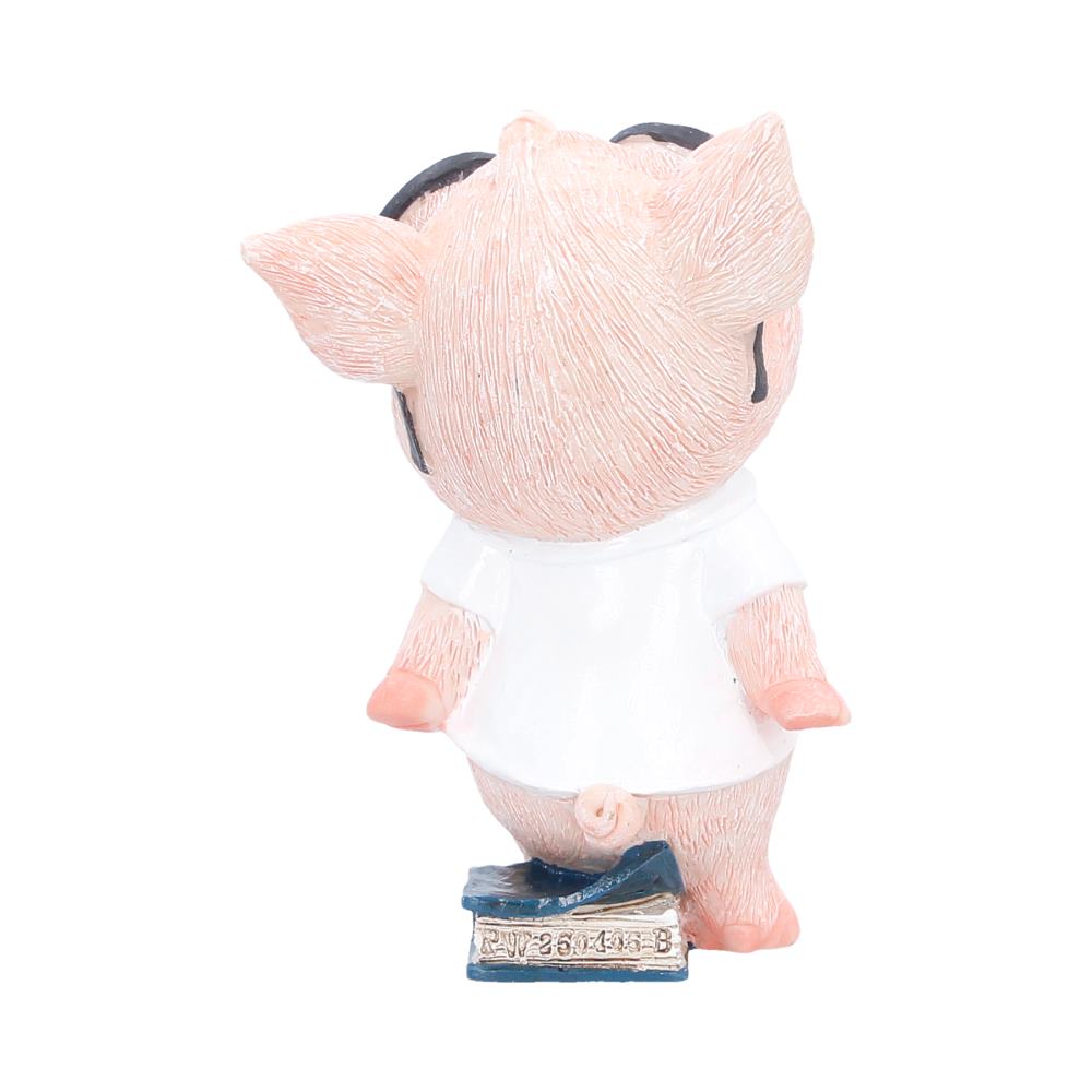 Cute pig figurine hand-painted resin detail
