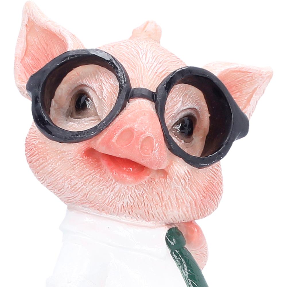 Close-up of Preston pig face and glasses detail