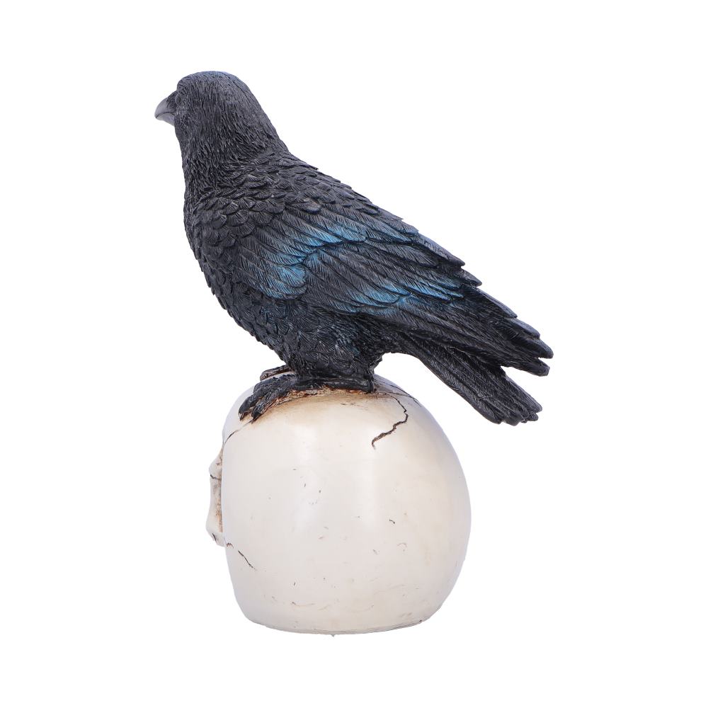 Back view of Nevermore Vigil raven and skull figurine
