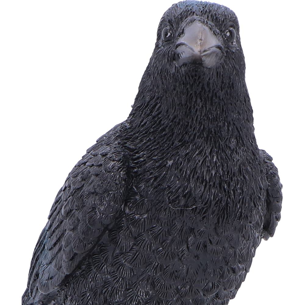 Close-up of raven feather detail on figurine