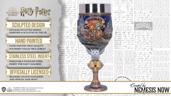Harry Potter Hogwarts Collectible Goblet video showcasing the Hogwarts Crest, Hogwarts Castle, Hedwig holding a Hogwarts acceptance letter, removable stainless steel insert, and hand-painted resin craftsmanship.