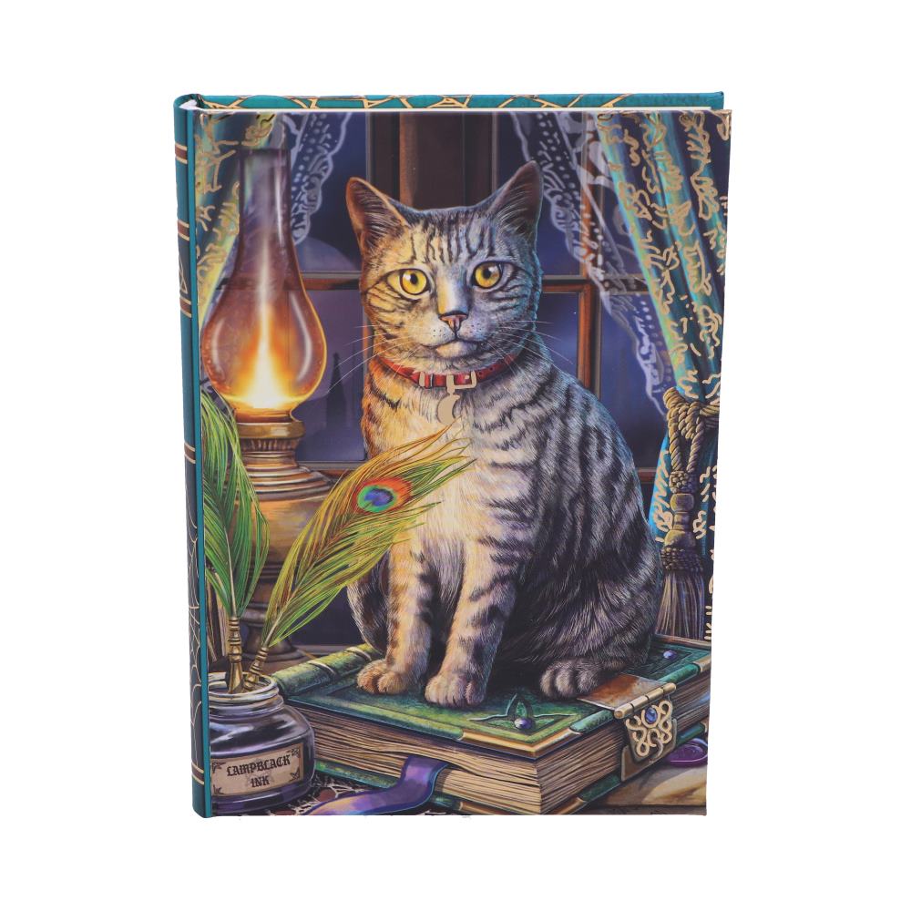 Book of Shadows Journal by Lisa Parker 17cm