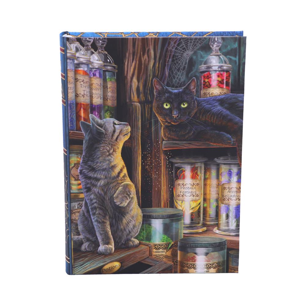 Magical Emporium Journal by Lisa Parker 17cm