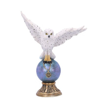 Load image into Gallery viewer, Magick Flight 23.5cm
