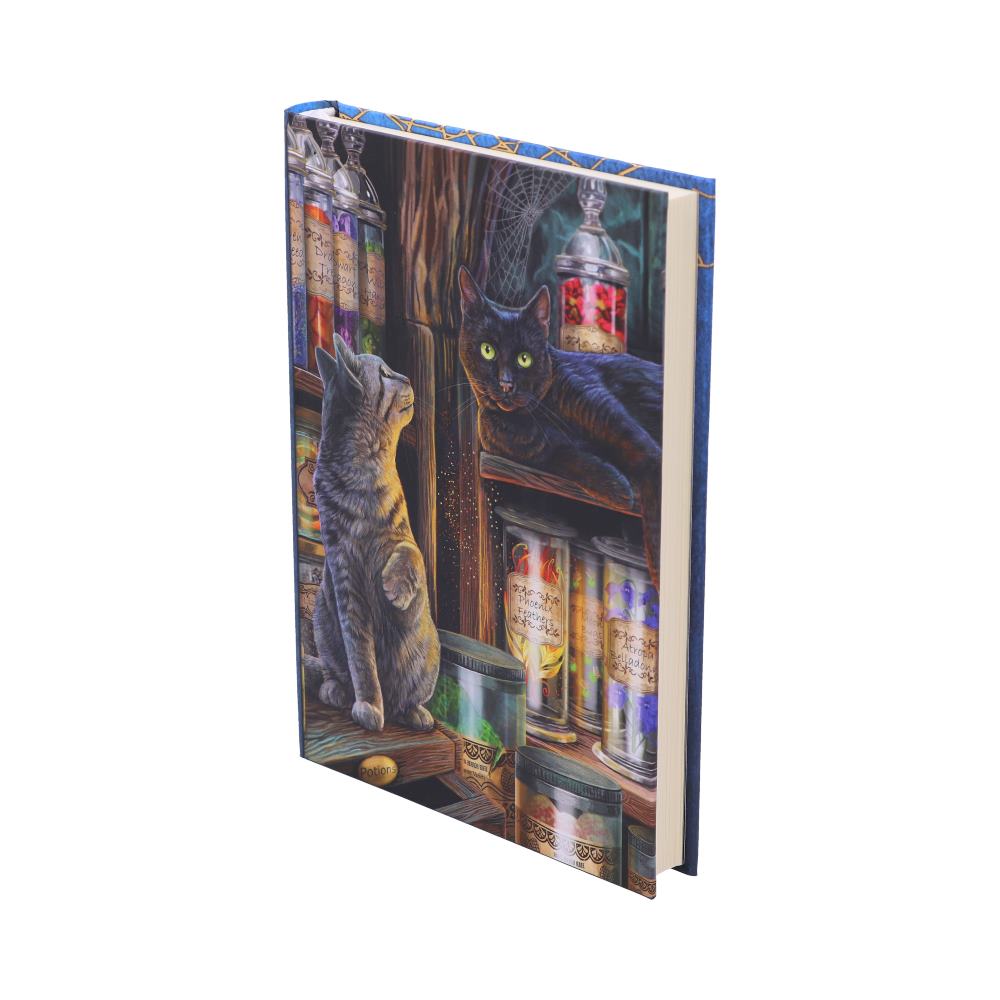 Magical Emporium Journal by Lisa Parker 17cm