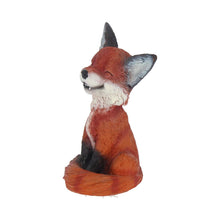 Load image into Gallery viewer, Count Foxy
