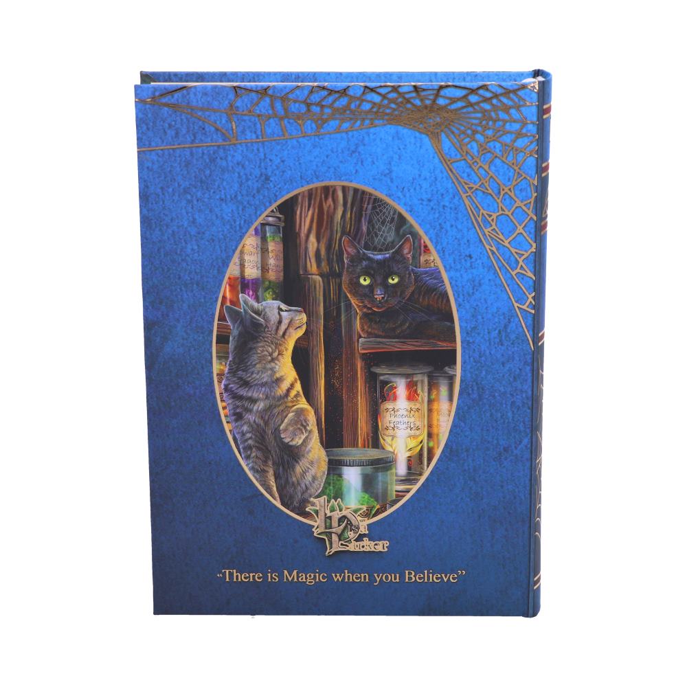 Magical Emporium Journal by Lisa Parker 17cm