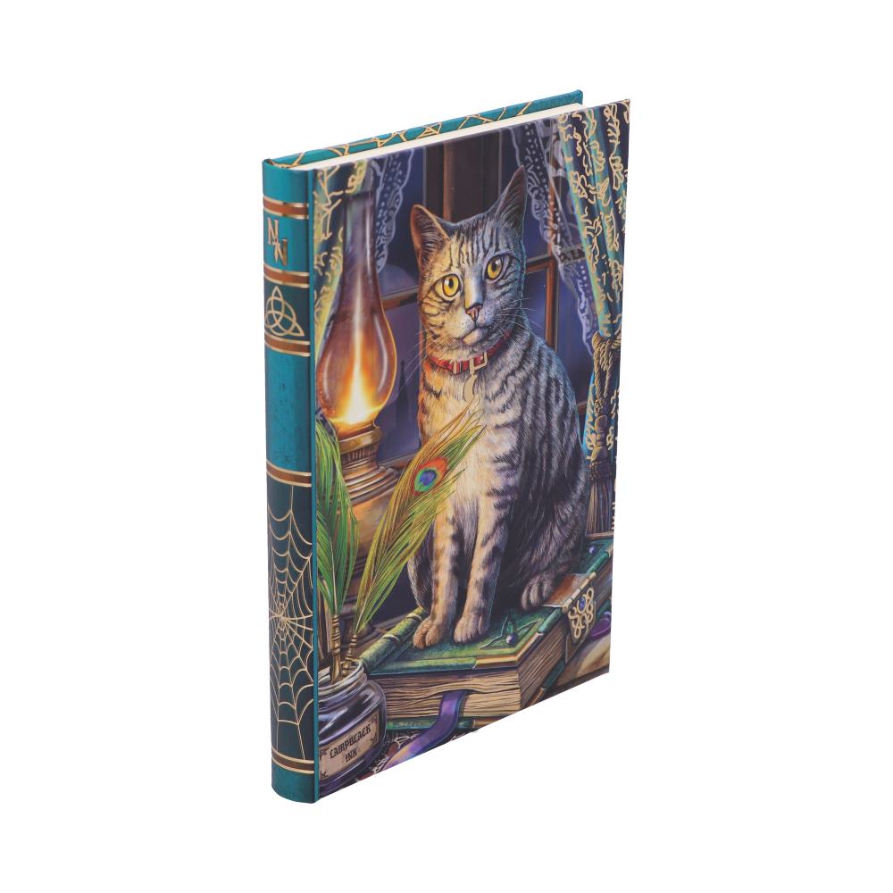 Book of Shadows Journal by Lisa Parker 17cm