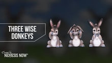 Load and play video in Gallery viewer, Three Wise Donkeys 11cm
