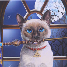 Load image into Gallery viewer, Hocus Pocus Journal by Lisa Parker 17cm
