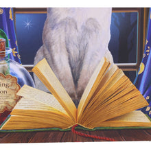 Load image into Gallery viewer, Hocus Pocus Journal by Lisa Parker 17cm
