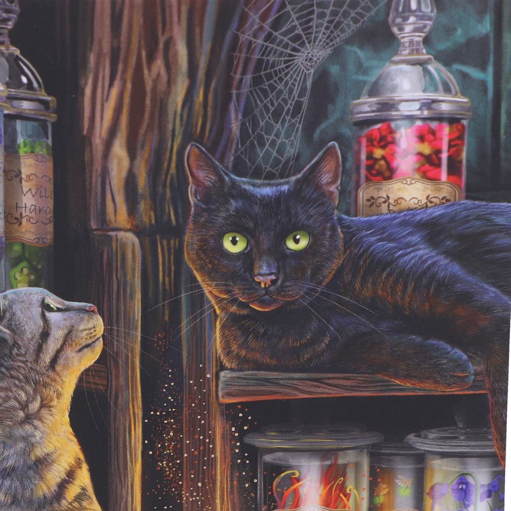 Magical Emporium Journal by Lisa Parker 17cm