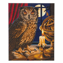 Load image into Gallery viewer, Lisa Parker The Astrologer Owl Framed Crystal Art Kit 40X50cm

